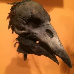 Pumpkin Pulp Deluxe Crow'ked Mask 6 Pumpkin Pulp Deluxe Crow'ked Mask -Halloween Gear Sales 102518760 3