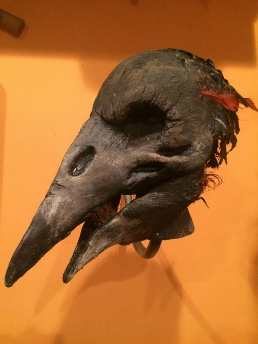 Pumpkin Pulp Deluxe Crow'ked Mask 4 Pumpkin Pulp Deluxe Crow'ked Mask - Image 4