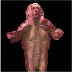 Mad About Horror Skinned Male Pelt