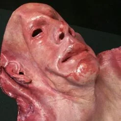 Mad About Horror Skinned Male Pelt -Halloween Gear Sales 103278707 3