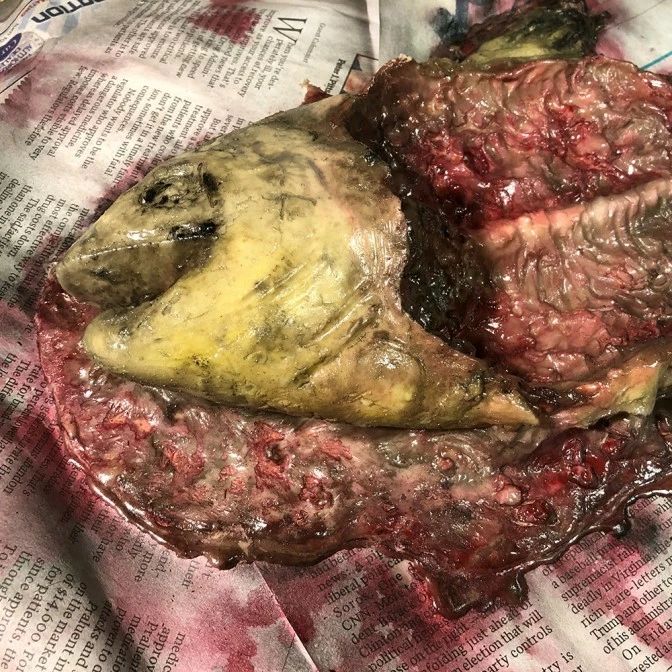 Mad About Horror Rotten Fish On Paper Prop 2 Mad About Horror Rotten Fish On Paper Prop - Image 2