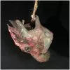 Other Skinned Animal Head Prop
