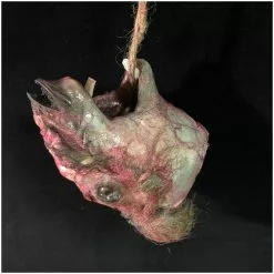 Other Skinned Animal Head Prop