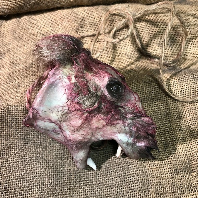 Other Skinned Animal Head Prop 2 Other Skinned Animal Head Prop - Image 2