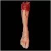 Other Severed Leg