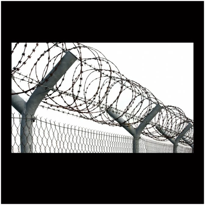 Other Razor Wire 1 Other Razor Wire