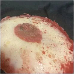 Mad About Horror Silicone Severed Boobs -Halloween Gear Sales 2 severed silicome boob 1