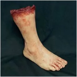 Other Silicone Severed Female Leg