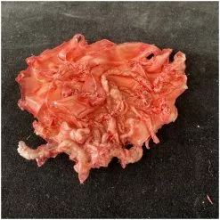 Other Silicone Severed Nipple -Halloween Gear Sales 2 silicone severed nipple body part horror