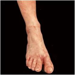 Other Silicone Severed Full Male Leg -Halloween Gear Sales 2 special effects prop silicone severed leg male