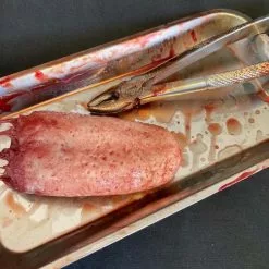 Other Surgical Tray With Silicone Severed Tongue -Halloween Gear Sales 2 surgical tray horror prop with severed tongue