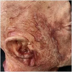 Other Silicone Severed Head Clarence, Burned -Halloween Gear Sales 3 clarence burned silicone severed head horror prop