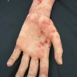 Other Silicone Severed Female Arm -Halloween Gear Sales 3 left silicone severed female arm