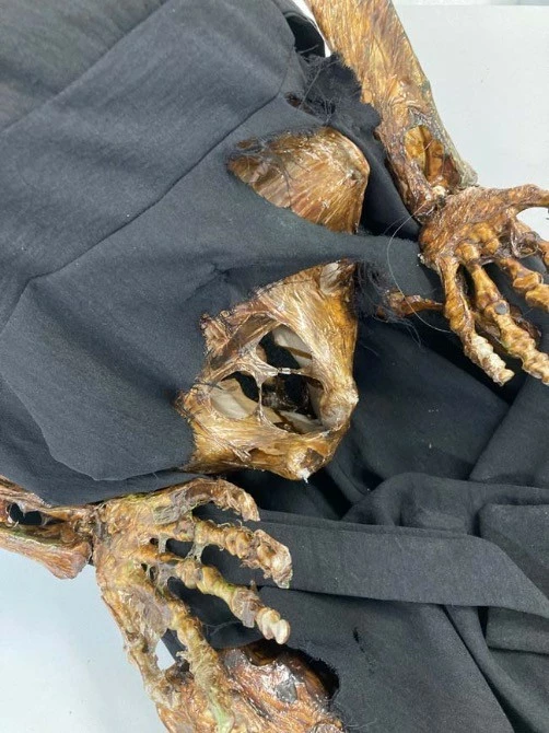 Deluxe Corpsed Rotten Skeleton Mother - Image 3