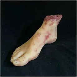 Other Silicone Severed Female Foot