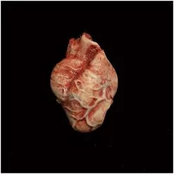 Mad About Horror Silicone Heart -Halloween Gear Sales 3 silicone heart prop