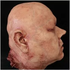 Other Silicone Severed Head Abe, Flesh -Halloween Gear Sales 3 silicone severed head abe flesh