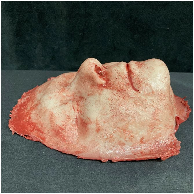 Other Skinned Silicone Face Peter 2 Other Skinned Silicone Face Peter - Image 2