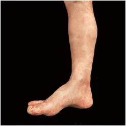 Other Silicone Severed Full Male Leg -Halloween Gear Sales 3 special effects prop silicone severed leg male