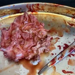 Other Surgical Tray With Silicone Nipple -Halloween Gear Sales 3 surgical kidney tray silicone severed nipple horror