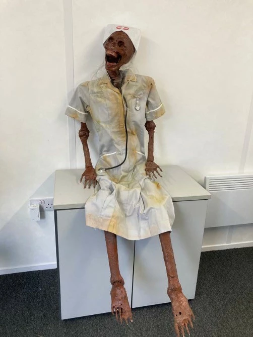 Other Corpsed Life Size Skeleton Nurse 2 Other Corpsed Life Size Skeleton Nurse - Image 2