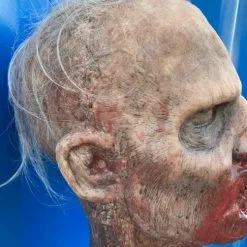 Other Silicone Severed Zombie Head On Spike Crispin' Beauty -Halloween Gear Sales 4 silicone severed zombie head crispin beauty 1