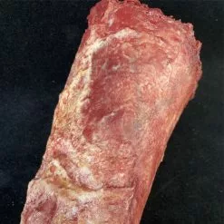 Other Silicone Male Arm Toxic -Halloween Gear Sales 4 toxic arm silicone severed right 1