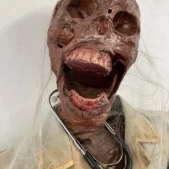 Other Corpsed Life Size Skeleton Nurse 10 Other Corpsed Life Size Skeleton Nurse -Halloween Gear Sales 5 corpsed nurse skeleton halloween prop