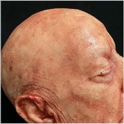 Other Silicone Severed Head Clarence, Freshly Dead -Halloween Gear Sales 5 horror prop silicone severed head