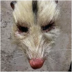 Pumpkin Pulp Roadkill Mask -Halloween Gear Sales 5 pumpkin pulp roadkill animal mask rat opposum