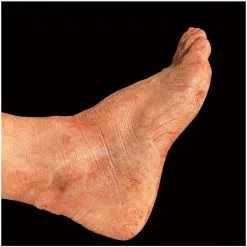 Other Silicone Severed Full Male Leg -Halloween Gear Sales 5 special effects prop silicone severed leg male