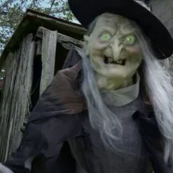 Other Lunging Haggard Witch Animated Prop -Halloween Gear Sales 66242708 3