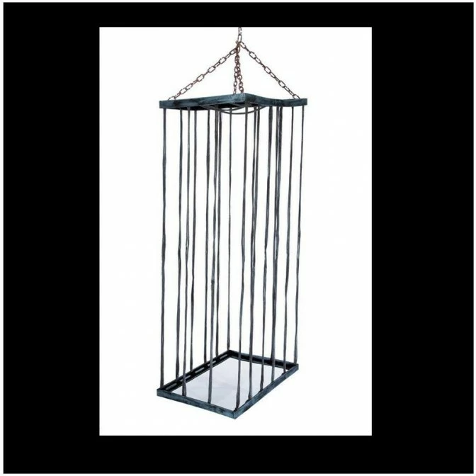 Other Giant Cage 1 Other Giant Cage