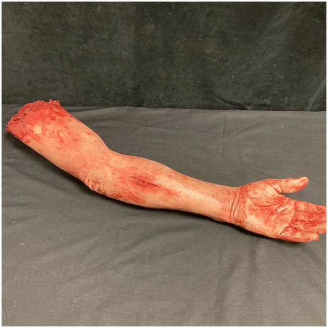 Other Silicone Severed Full Arm - Image 6