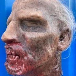 Other Silicone Severed Zombie Head On Spike Crispin' Beauty -Halloween Gear Sales 6 silicone severed zombie head crispin beauty