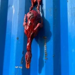 Other Bloody Duck -Halloween Gear Sales 7 bloody duck hanging prop