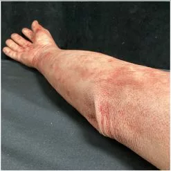 Other Silicone Severed Full Arm -Halloween Gear Sales 7 silicone severed full male arm prop 2