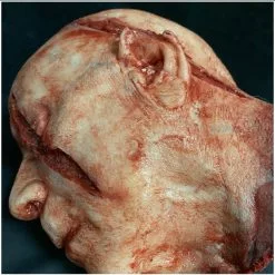 Other Silicone Severed Head Clarence, Gory -Halloween Gear Sales 7 silicone severed head professional horror prop 1