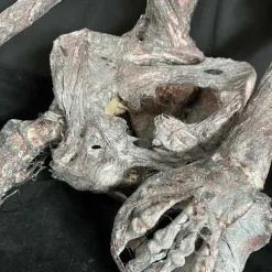 Other Corpsed Life Size Skeleton 11 Other Corpsed Life Size Skeleton -Halloween Gear Sales 8 life size corpsed skeleton prop