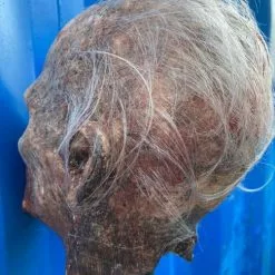 Other Silicone Severed Zombie Head On Spike Crispin' Beauty -Halloween Gear Sales 8 silicone severed zombie head crispin beauty