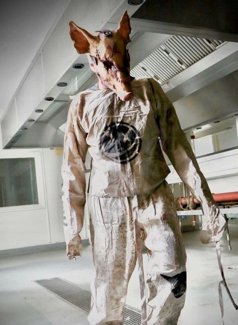 Mad About Horror Straight Jacket & Trousers 6 Mad About Horror Straight Jacket & Trousers - Image 6