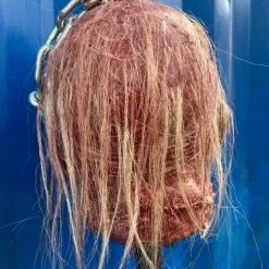 Other Silicone Severed Head On Spike Mr Napier -Halloween Gear Sales 9 silicone severed head mr napier