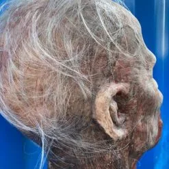 Other Silicone Severed Zombie Head On Spike Crispin' Beauty -Halloween Gear Sales 9 silicone severed zombie head crispin beauty