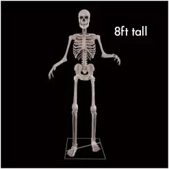 Other 8ft Skeleton Animated Figure With Digiteyes
