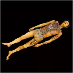 Ghost Ride Productions Autopsy Trevor Rot