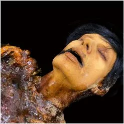 Ghost Ride Productions Autopsy Trevor Rot -Halloween Gear Sales autopsy trevor rot ghost ride 3