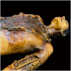 Ghost Ride Productions Autopsy Trevor Rot -Halloween Gear Sales autopsy trevor rot ghost ride 4