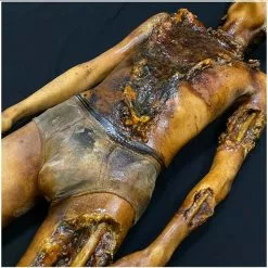 Ghost Ride Productions Autopsy Trevor Rot -Halloween Gear Sales autopsy trevor rot ghost ride 5