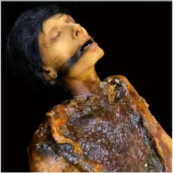 Ghost Ride Productions Autopsy Trevor Rot -Halloween Gear Sales autopsy trevor rot ghost ride 6