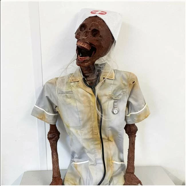Other Corpsed Life Size Skeleton Nurse 1 Other Corpsed Life Size Skeleton Nurse